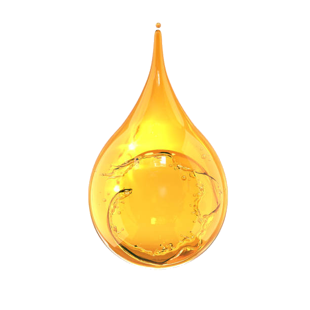 Options for Selling Honey in Texas