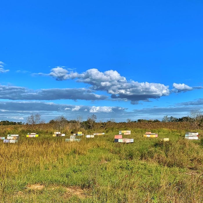 Setting Up Bee Yards
