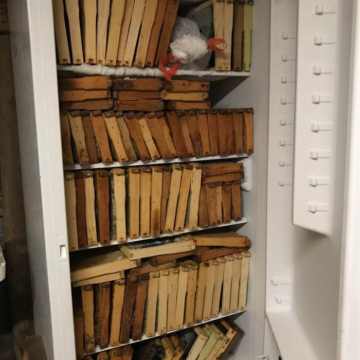 Storing Honey and Extracted Frames Effectively
