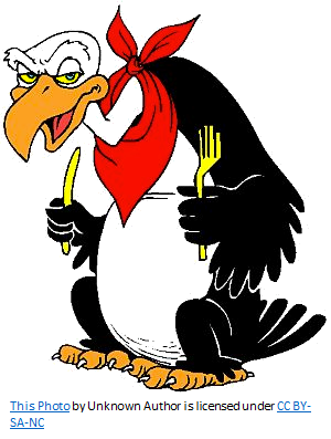 Wax Moths and Vultures Have a Lot in Common!