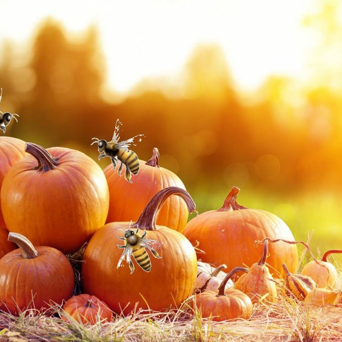 Fall Management