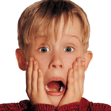 There is Mold in my Feeder!