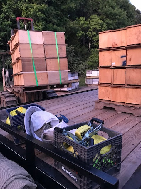 Moving Hives