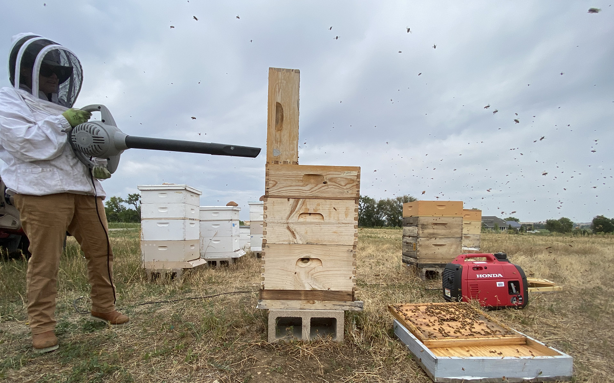 Ways To Remove Bees From Supers — The Bee Supply