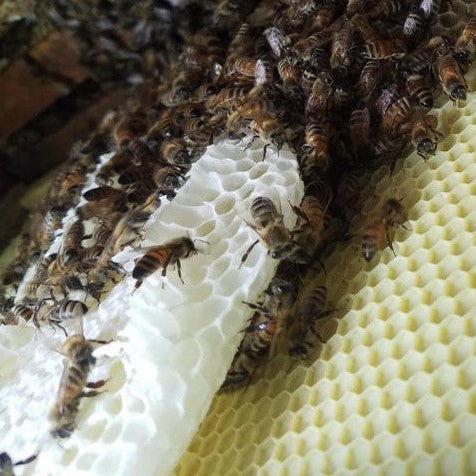 Wonky Comb: What's Causing It And How To Fix It