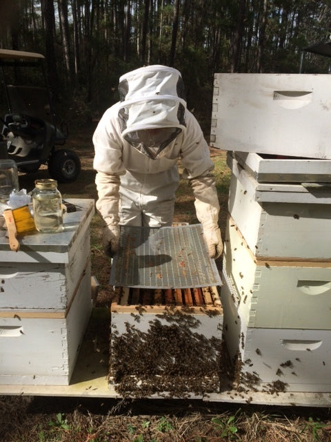 Mastering Hive Inspections - Part 1