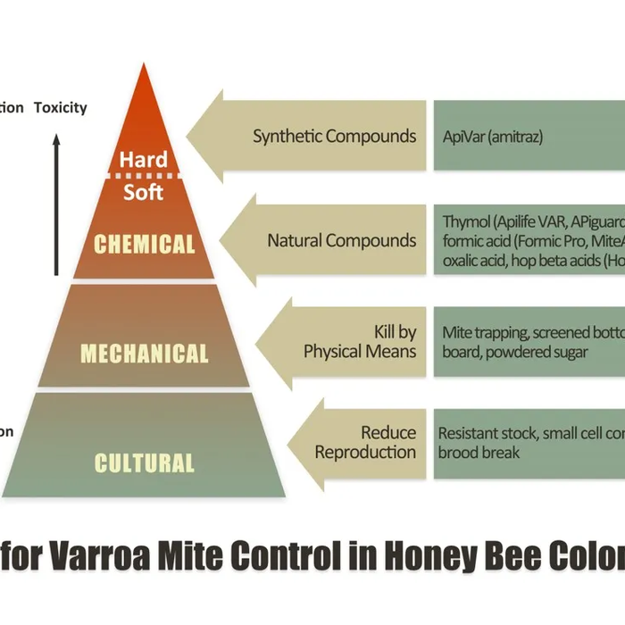 Varroa Destructor - IPM