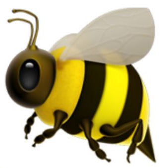 CAN I FEED MY BEES HONEY?