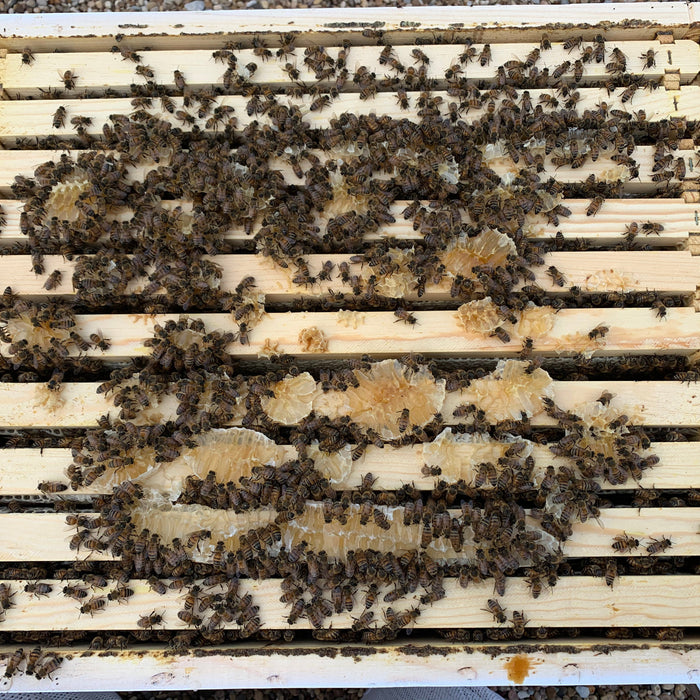 How Much Honey Should I Leave