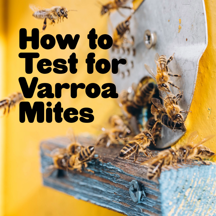 WHEN AND HOW TO TEST FOR VARROA MITES