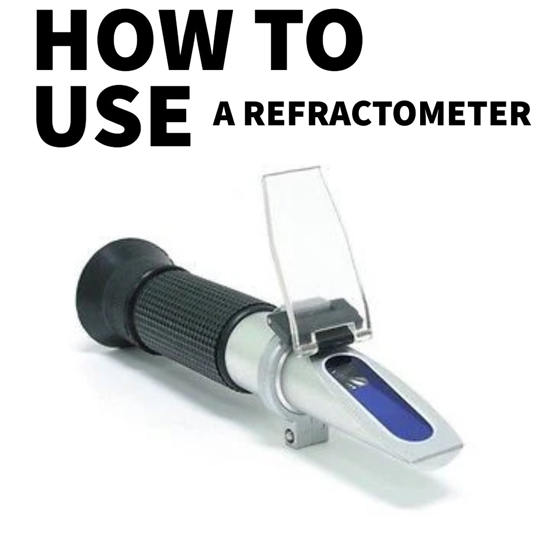 How to Use a Refractometer — The Bee Supply