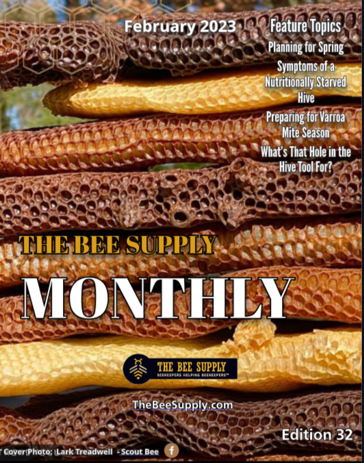 The Bee Supply Monthly - February 2023