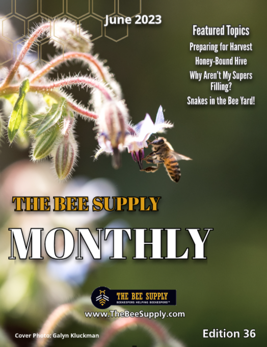 The Bee Supply Monthly - June 2023