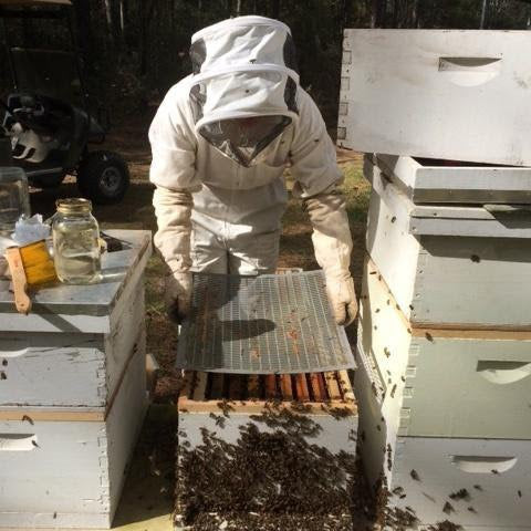 Should I use a Queen Excluder