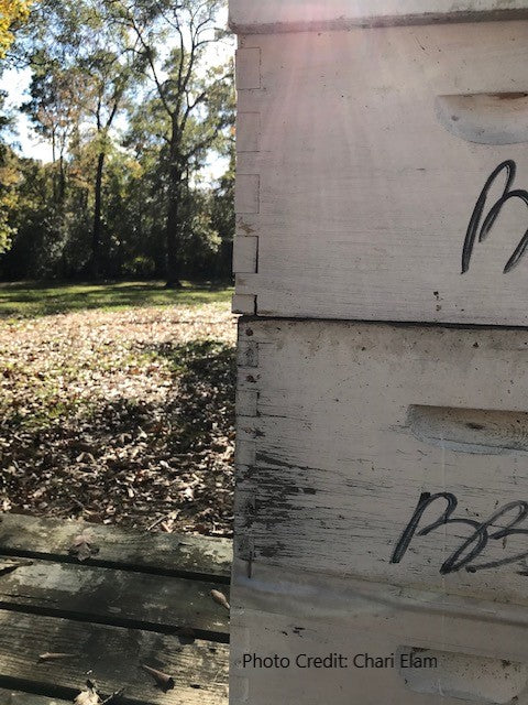 beehive box with rotten wood needing painted