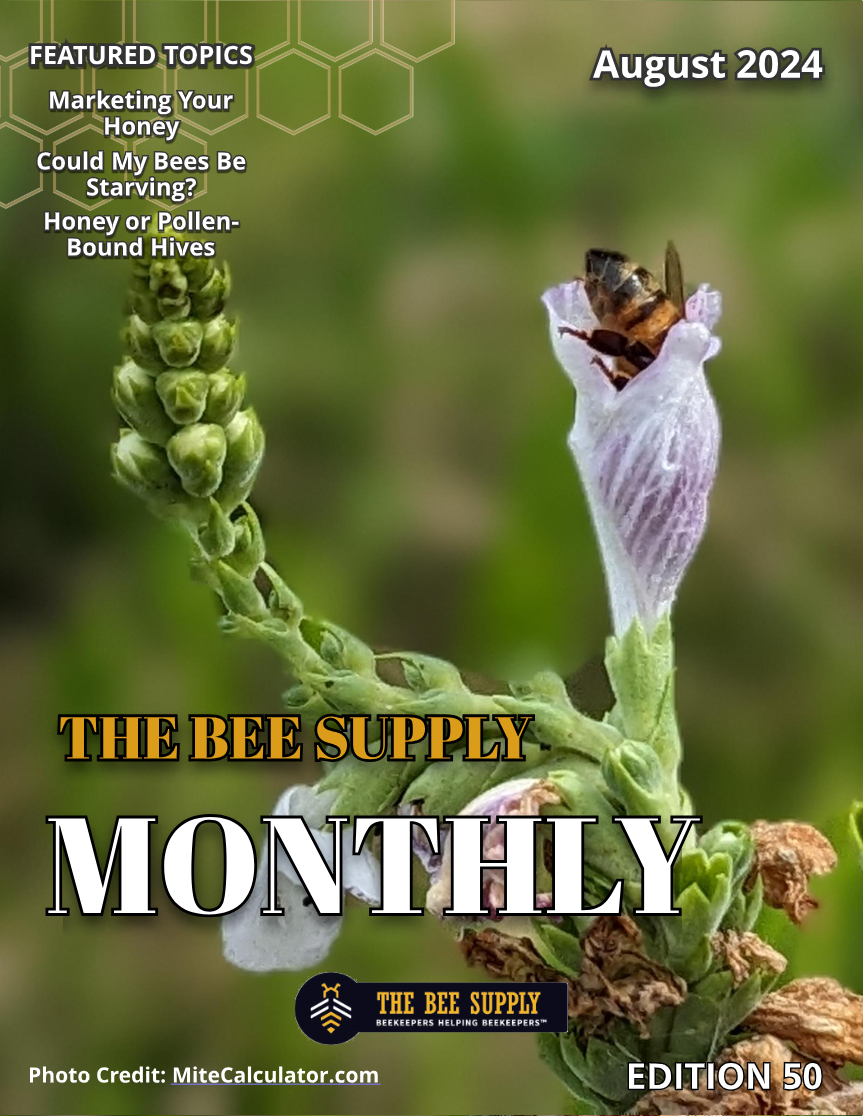 The Bee Supply Monthly August 2024
