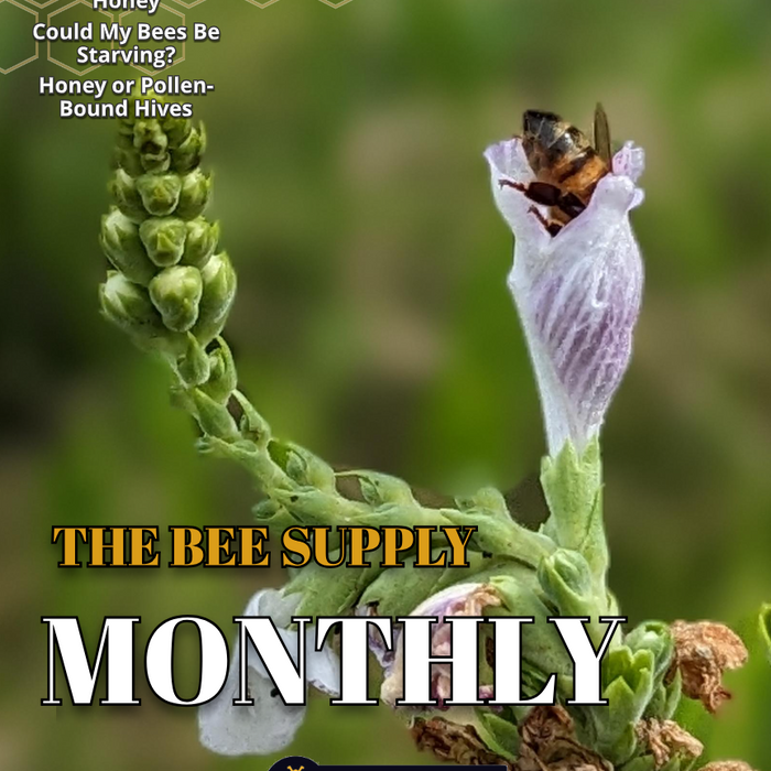 The Bee Supply Monthly - August 2024