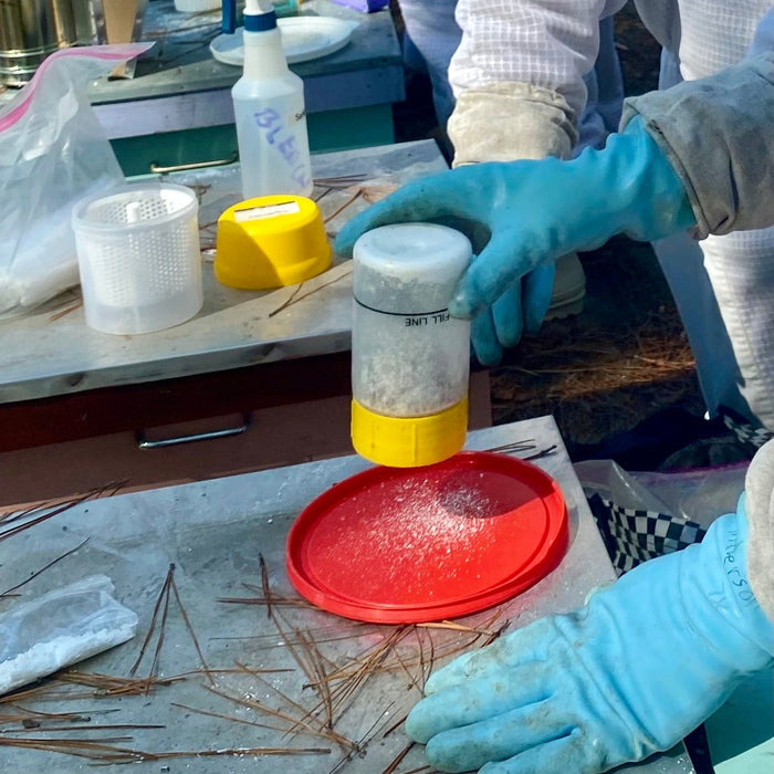 WHEN AND HOW TO TEST FOR VARROA MITES