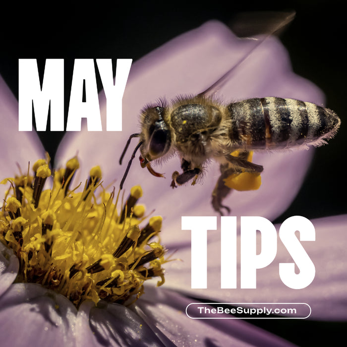 beekeeper tips for May