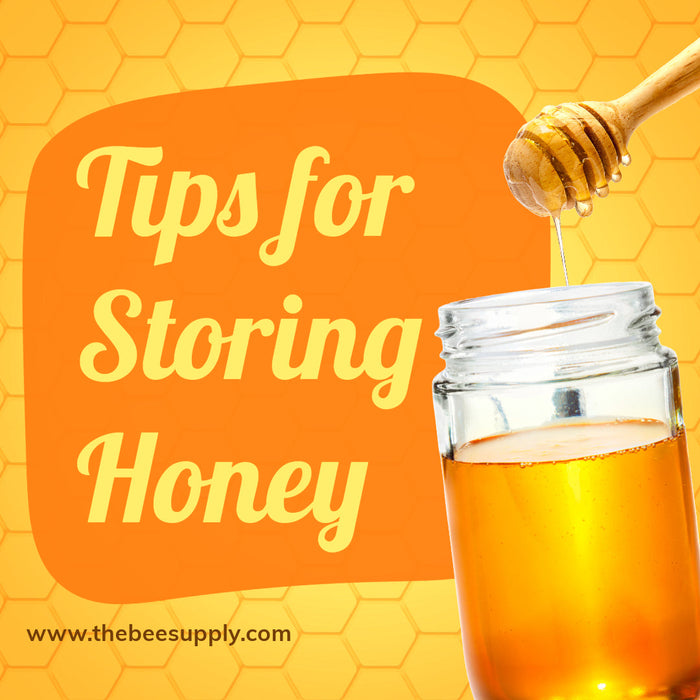 Storing Honey and Extracted Honey Frames