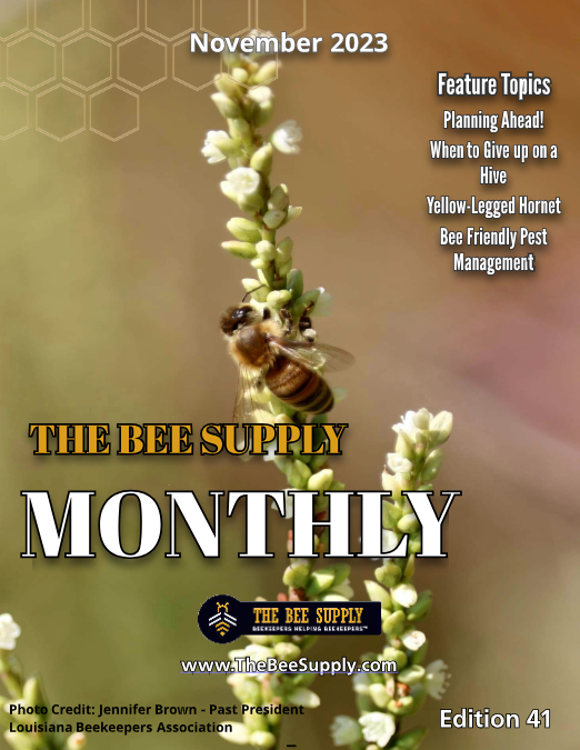 The Bee Supply Monthly-November 2023