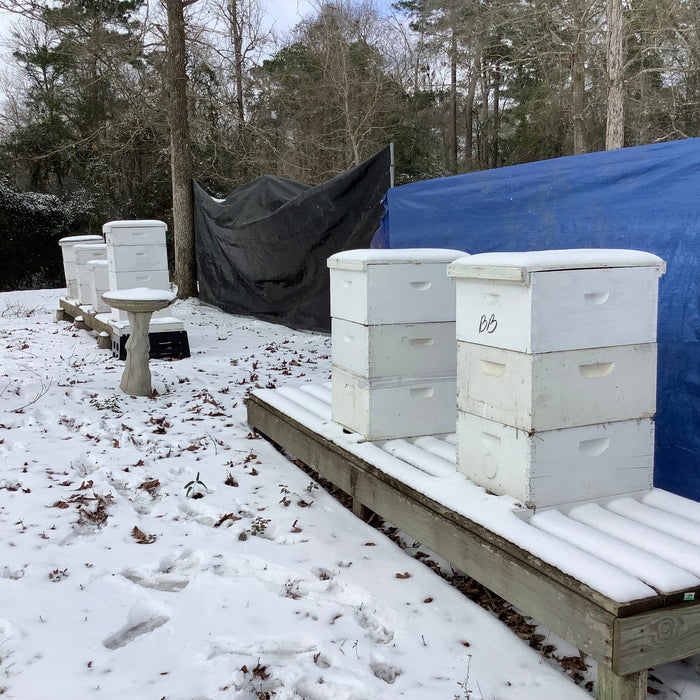 Winterizing Your Hives