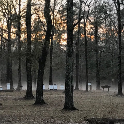 WINTER HIVE PREPARATION