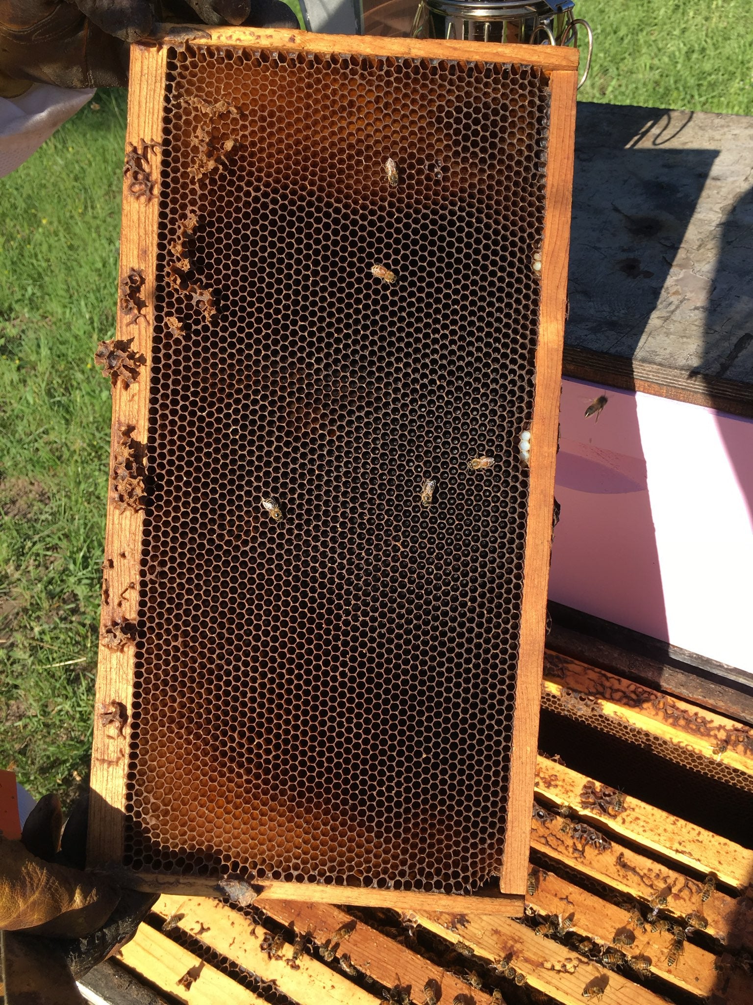 Deep Frame with comb (For 2025 warranty customers only)