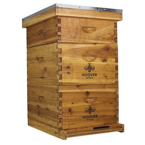 Wax-Coated 10 Frame Beehive - (2)Deeps & (1)Medium