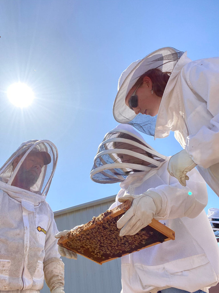 Unleash your inner beekeeper and join our hands-on beginner's class!