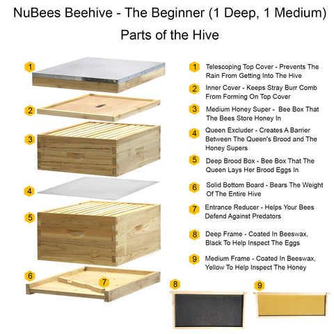 Nubee 10 Frame Beehive - (1)Deep & (1)Medium