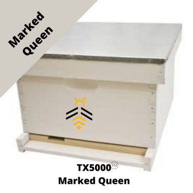 2024 Texas 5000 Single Marked Queen Bed