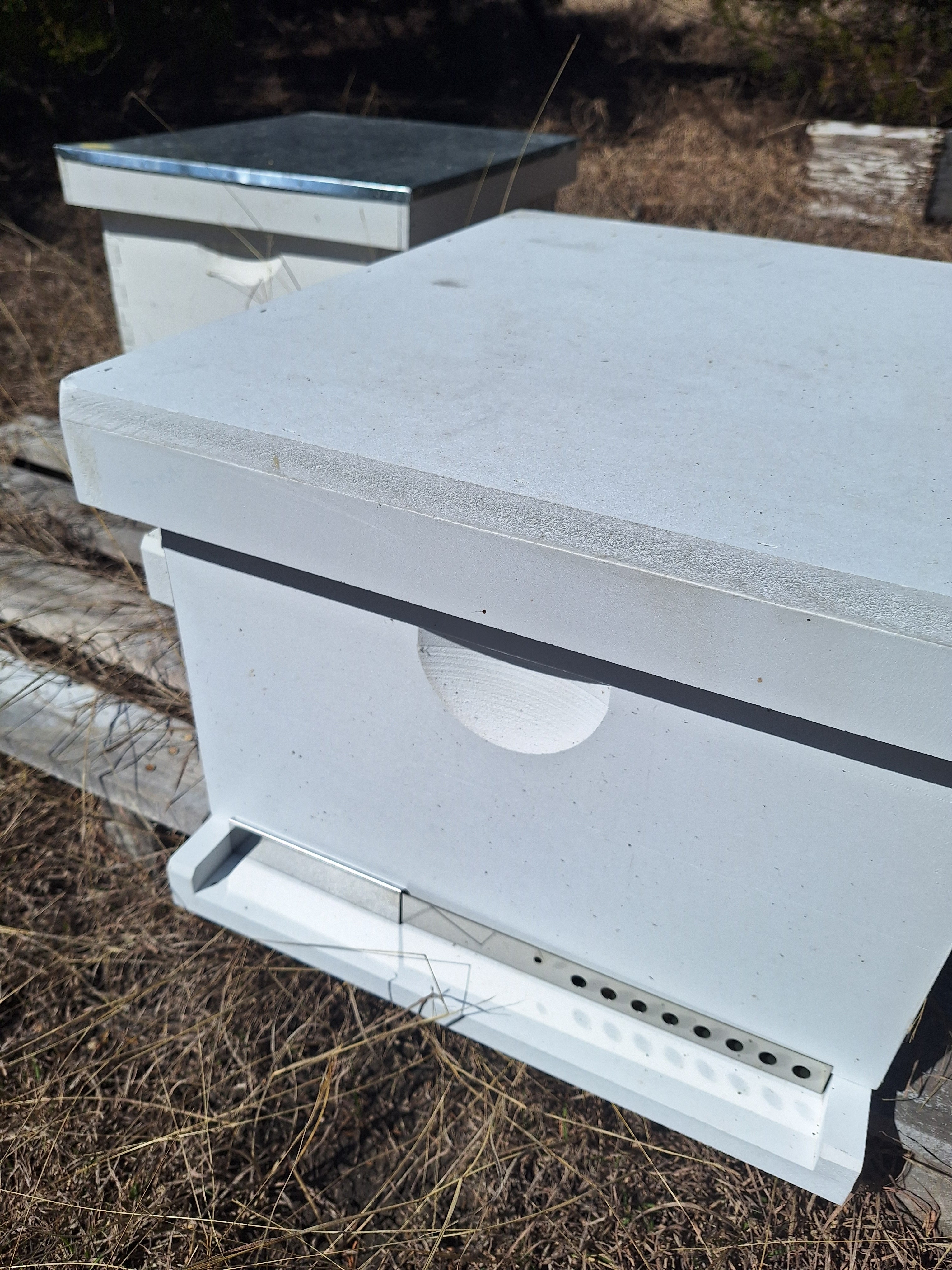 Adjustable Hive Entrance and Mouse Guard