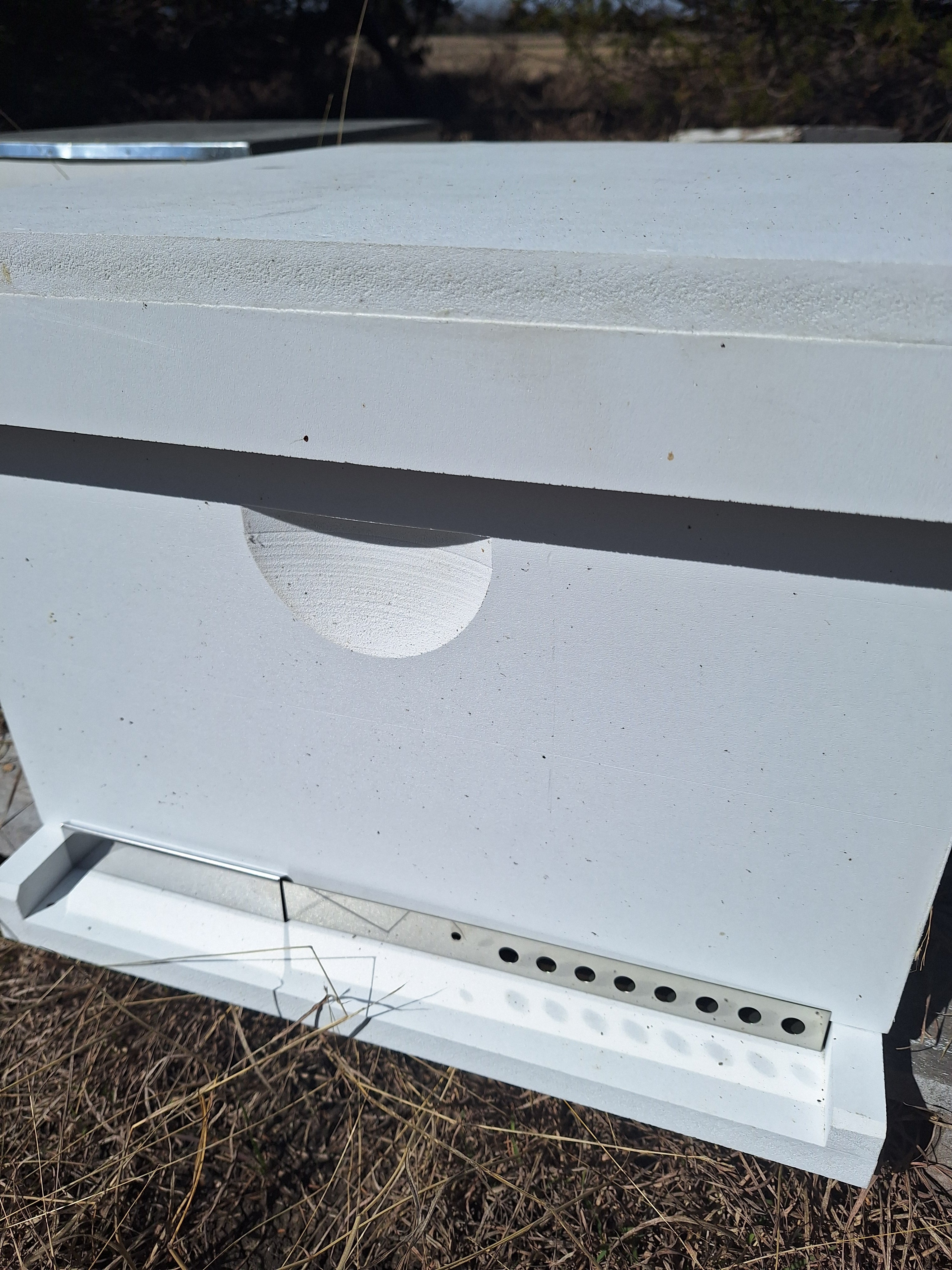 Adjustable Hive Entrance and Mouse Guard