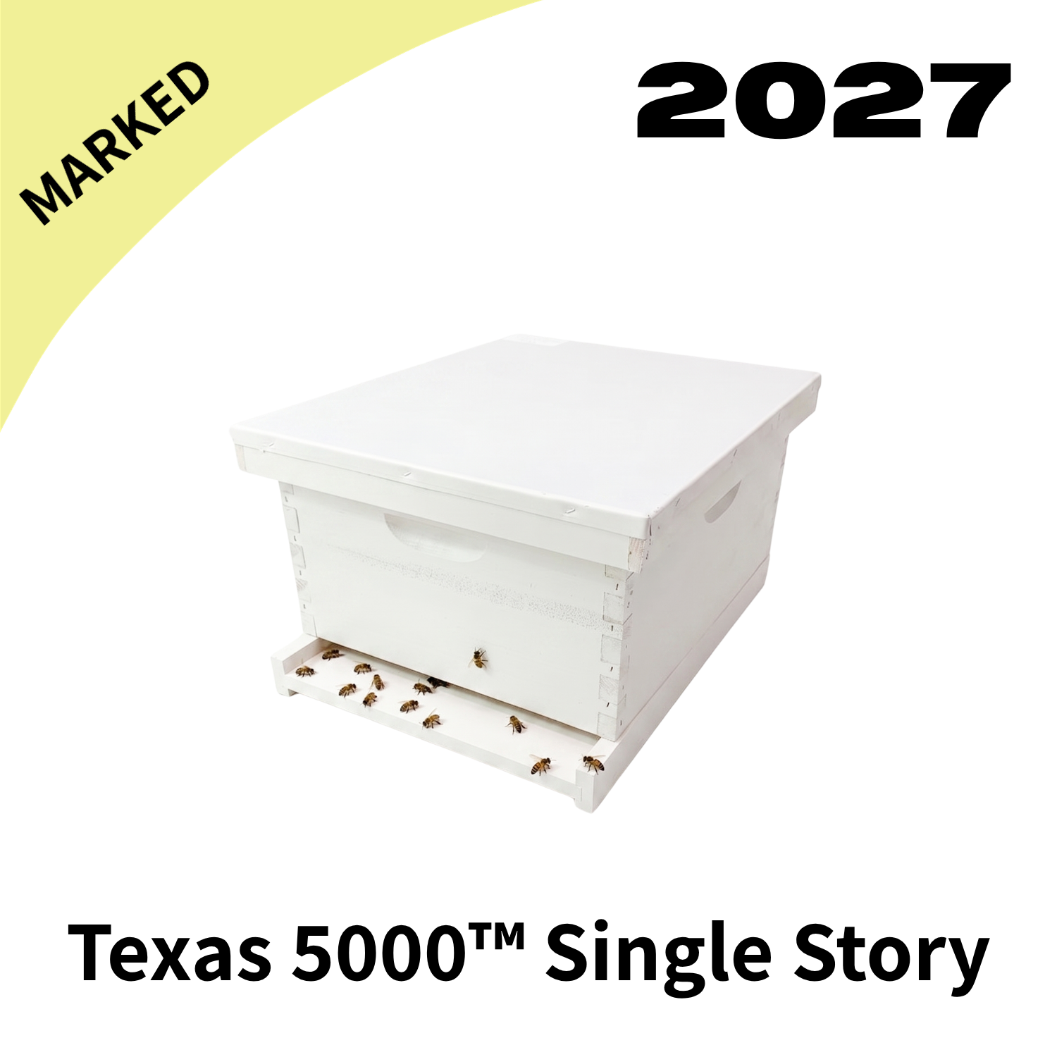 2027 Texas 5000 Single Story Hive with Marked Queen
