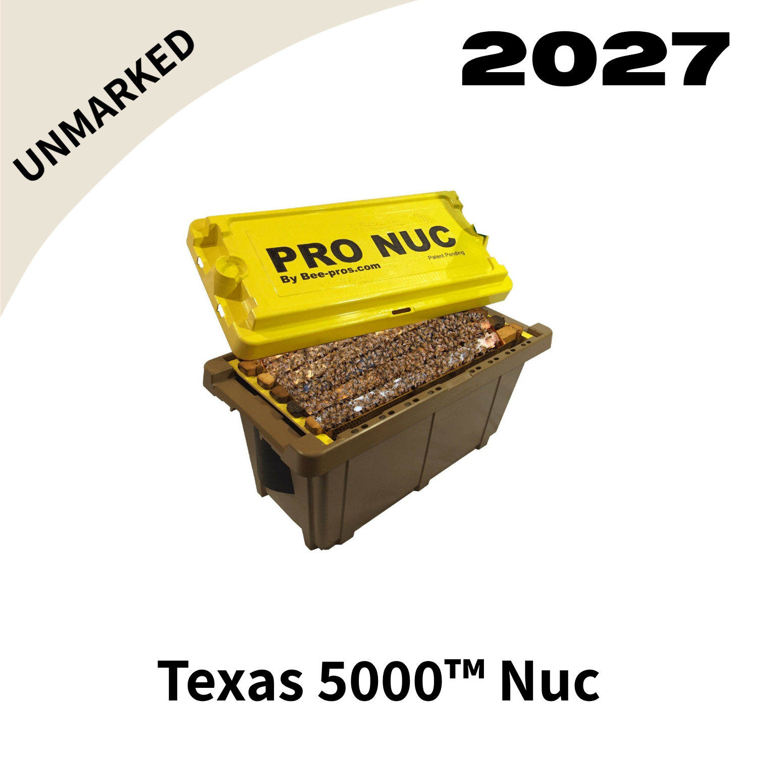 2027 Texas 5000 Nuc with Unmarked Queen