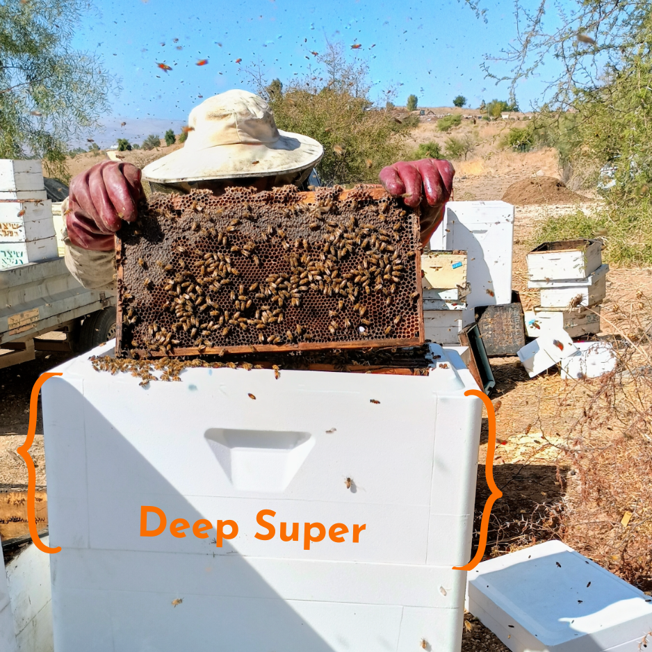 Honey Super