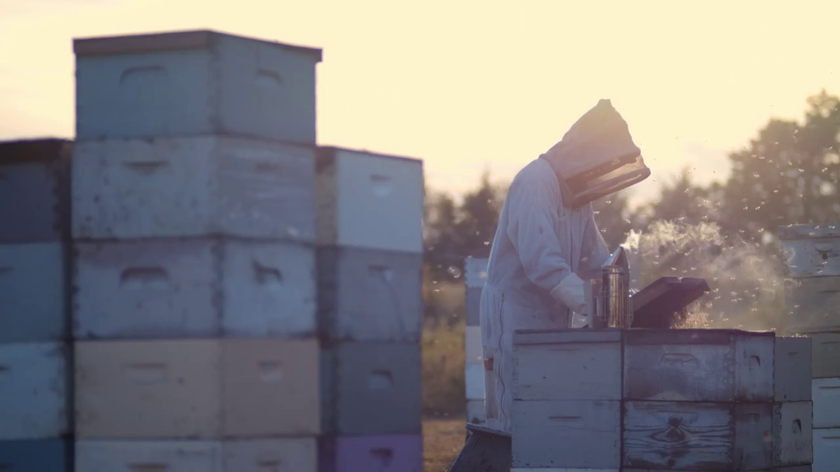 Bee Lining The Bee Supply Monthly — Tagged