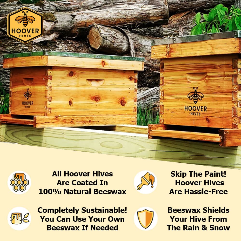 Wax-Coated 8 Frame Beehive - (2)Deeps & (1)Medium