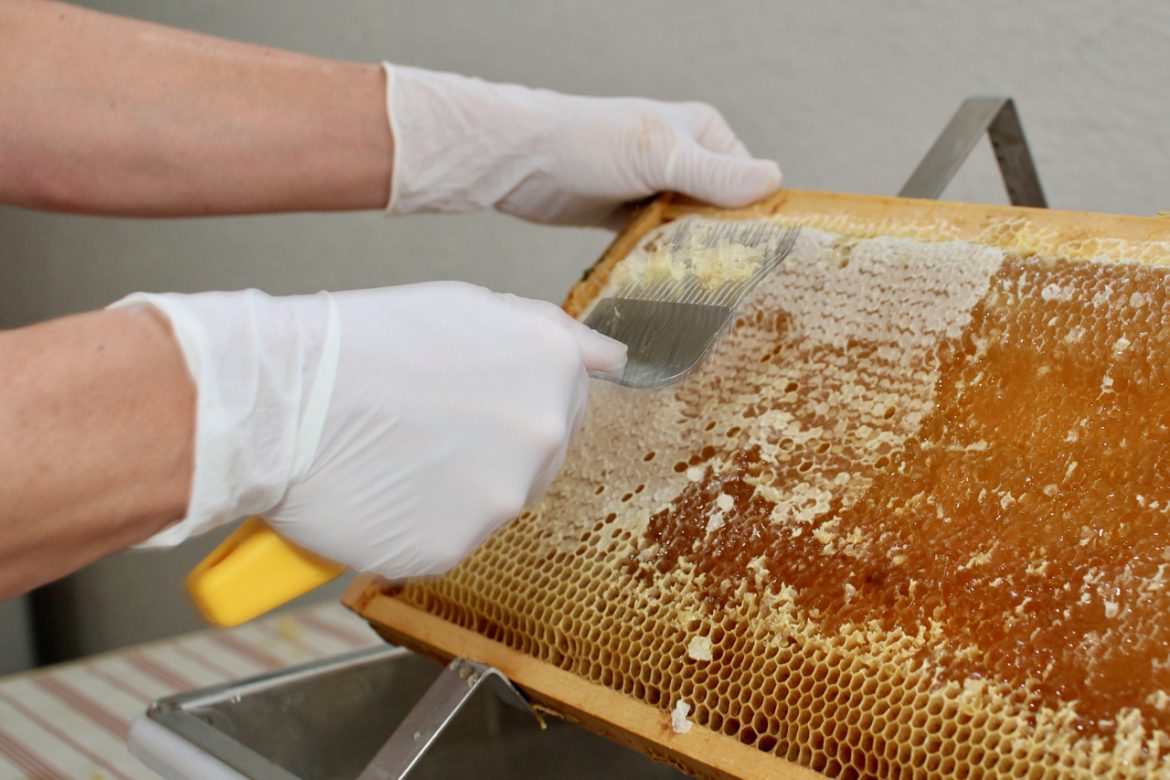 2026 Honey Extraction Class