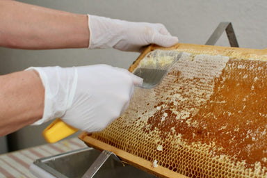honey extraction beekeeping classes.