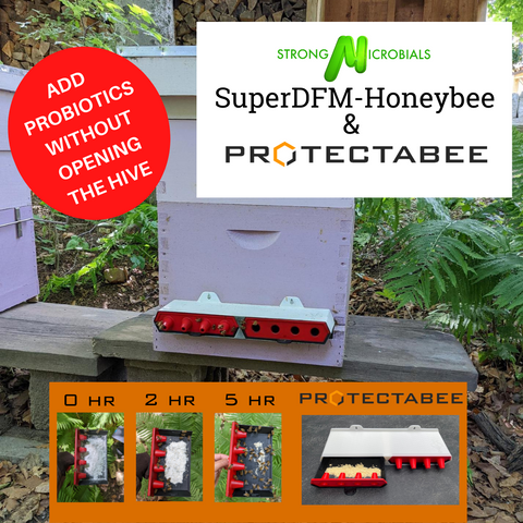 ProtectaBEE™ - All-In-One Adjustable Hive Entrance