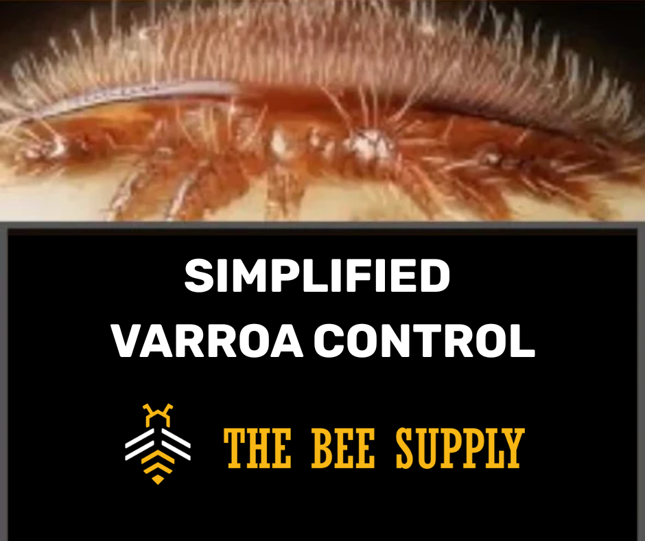 Control virtual simplificado de la varroa