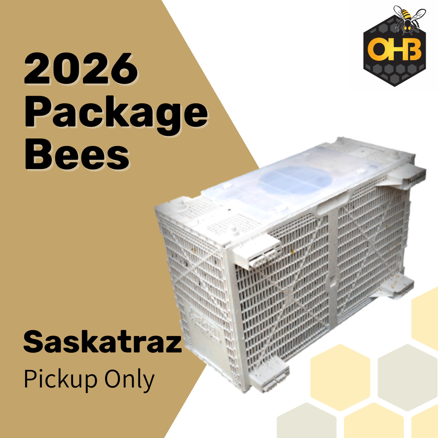2026 OHB Saskatraz Package Bees PICK-UP