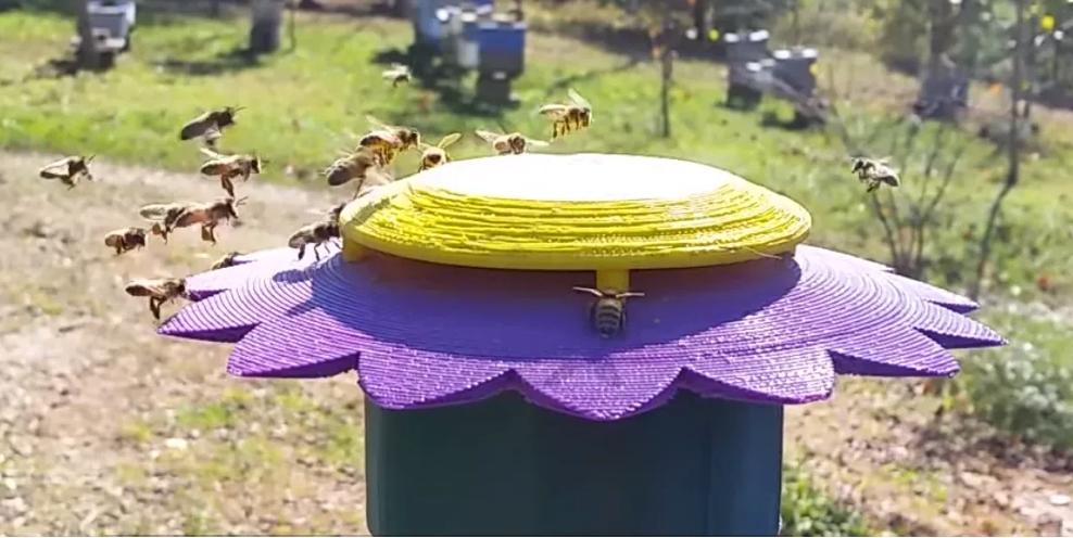 Lifeline Liquid and Pollen Bee Feeder (Color may vary)
