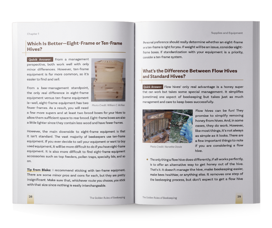 The Golden Rules of Beekeeping
