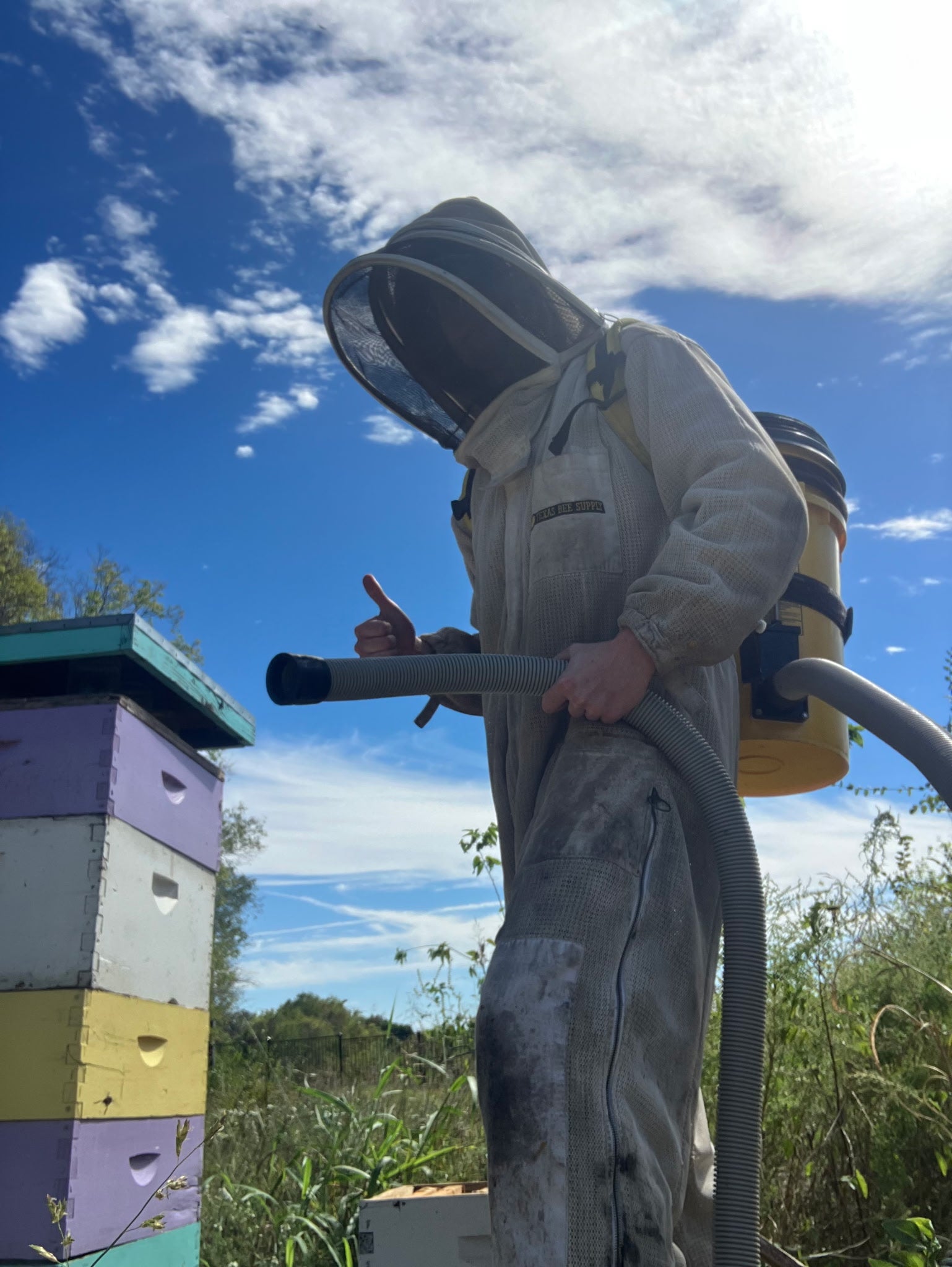 The Everything Bee Vacuum