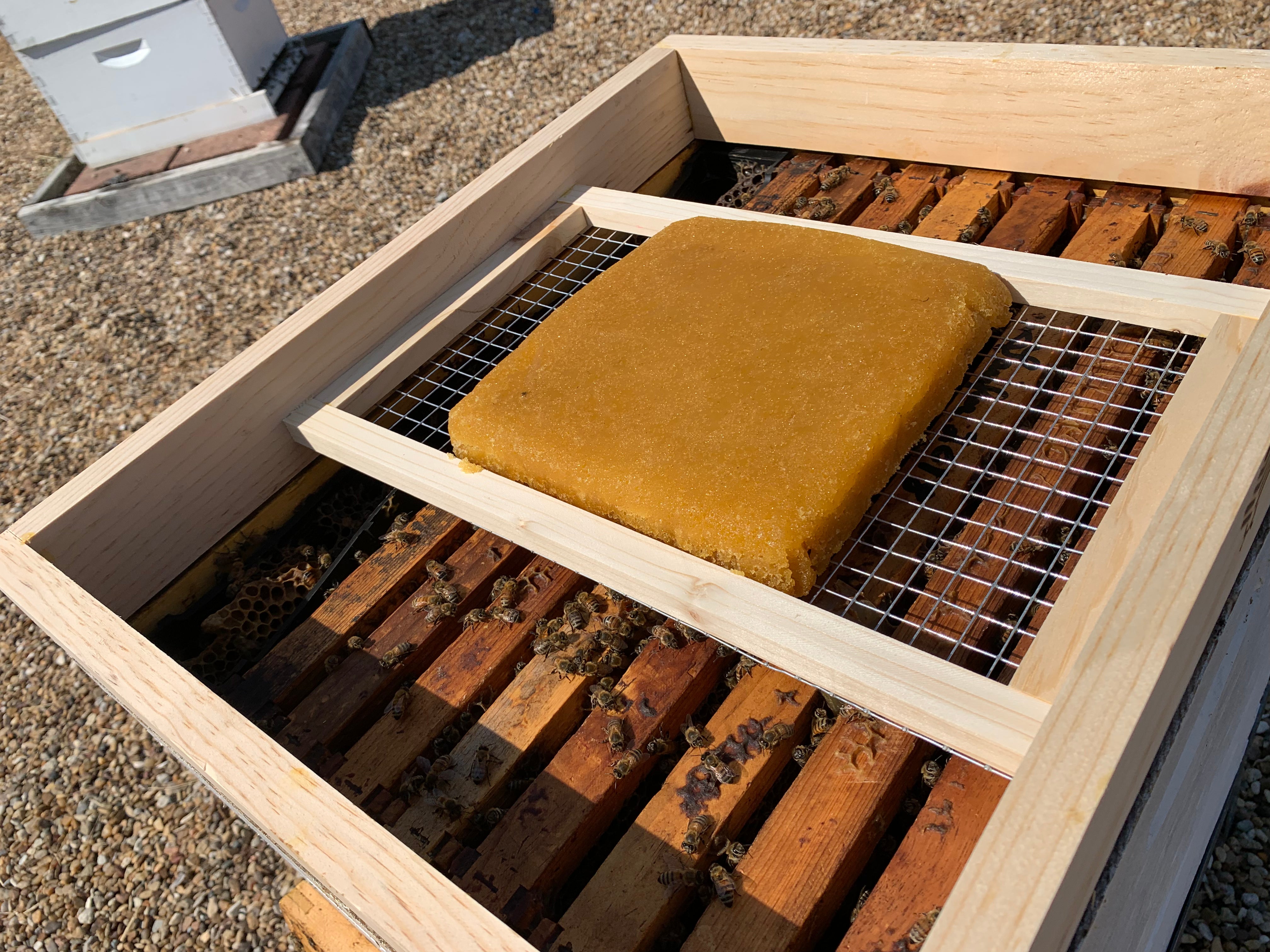 Sugar Brick and Patty Tray Feeder for 10 Frame Hive