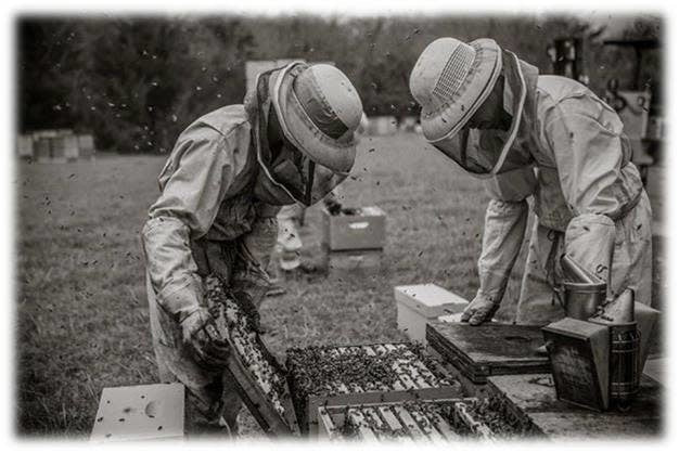 2026 Spring Split Class