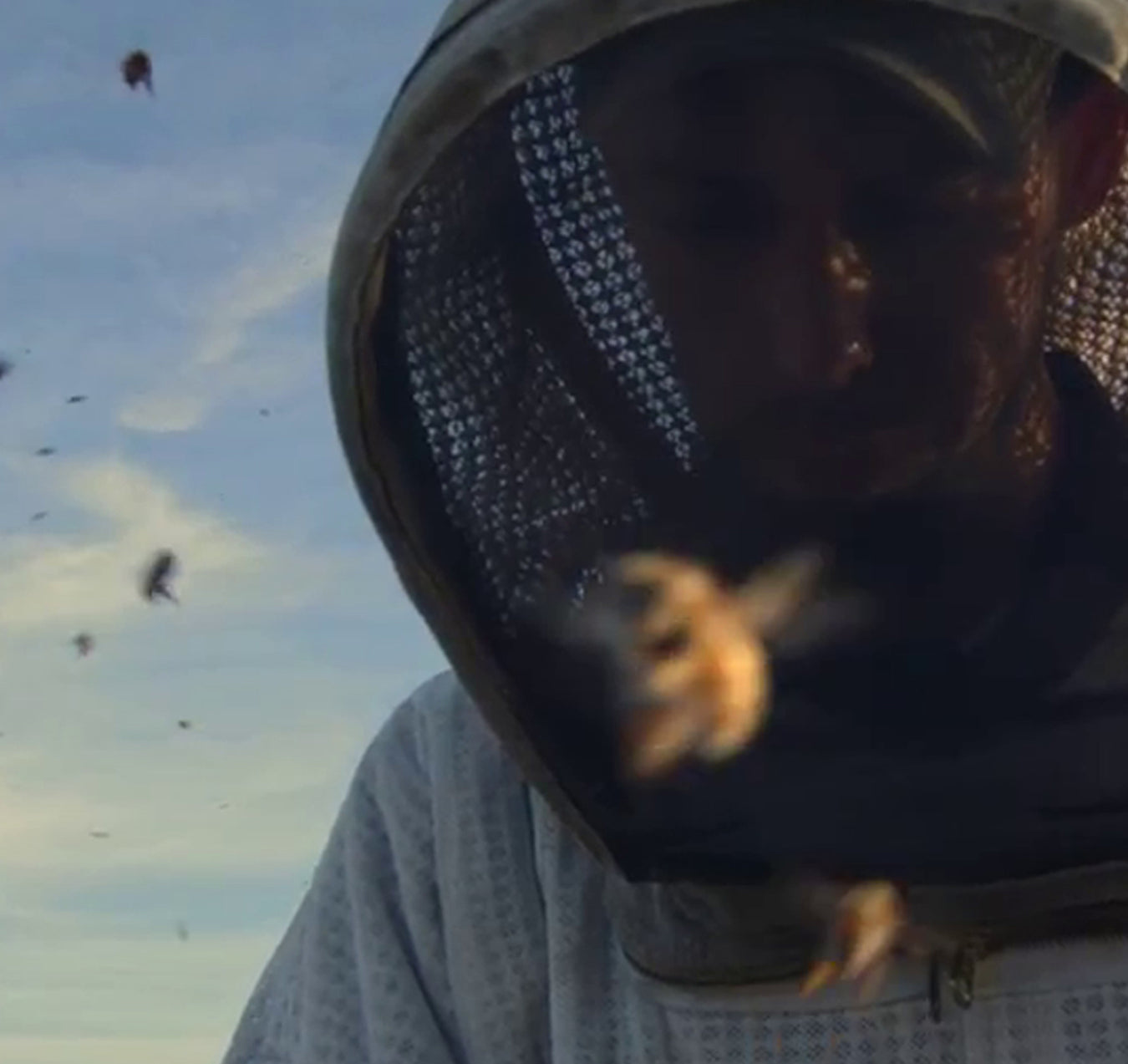 beekeeping video tutorials